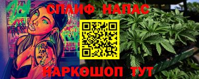 гидра Краснознаменск