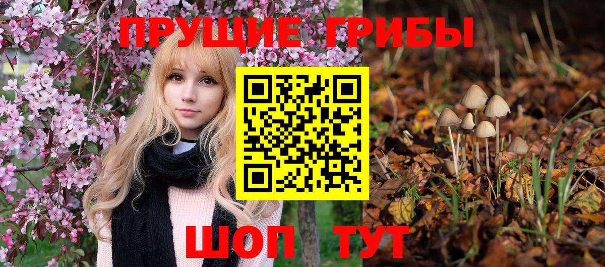 Галлюциногенные грибы GOLDEN TEACHER Донской