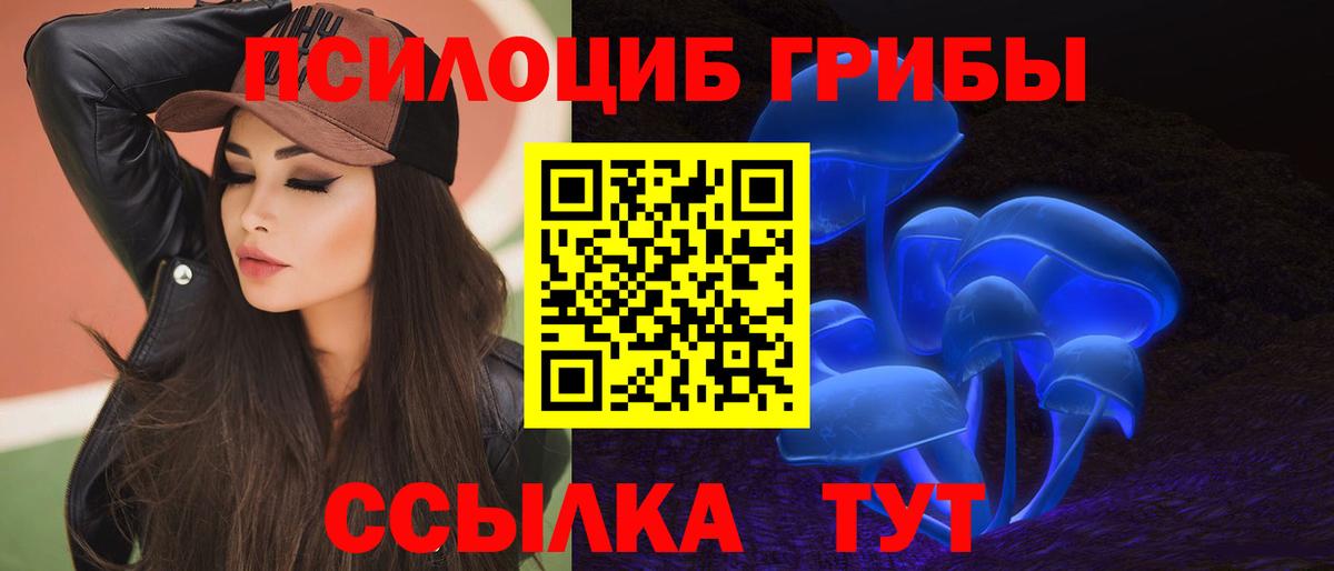 Донской  Галлюциногенные грибы Psilocybine cubensis  Галлюциногенные грибы Magic Shrooms  Вход с VPN 